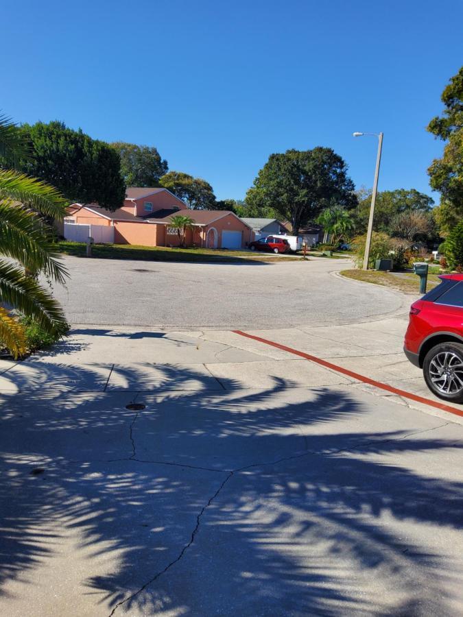 Beautiful Apartment Close To Everything Tampa Eksteriør billede
