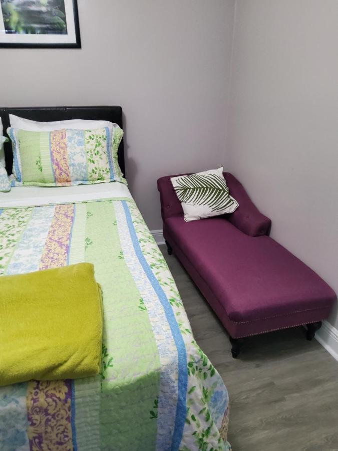 Beautiful Apartment Close To Everything Tampa Eksteriør billede